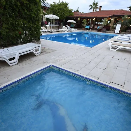 Hotel Leda Side